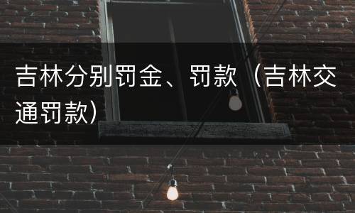 吉林分别罚金、罚款（吉林交通罚款）