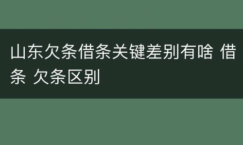 山东欠条借条关键差别有啥 借条 欠条区别