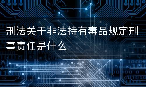 刑法关于非法持有毒品规定刑事责任是什么