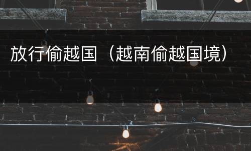 放行偷越国（越南偷越国境）