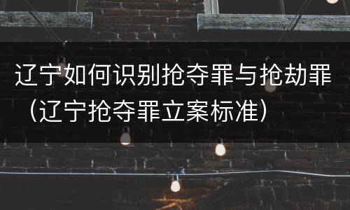 辽宁如何识别抢夺罪与抢劫罪（辽宁抢夺罪立案标准）