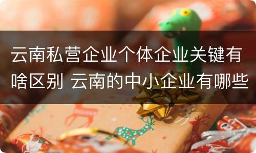 云南私营企业个体企业关键有啥区别 云南的中小企业有哪些