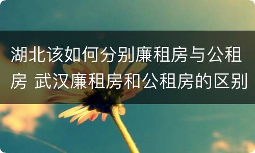 湖北该如何分别廉租房与公租房 武汉廉租房和公租房的区别
