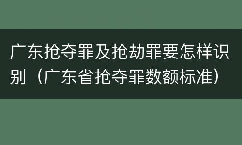 广东抢夺罪及抢劫罪要怎样识别（广东省抢夺罪数额标准）