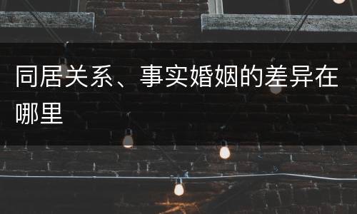 同居关系、事实婚姻的差异在哪里