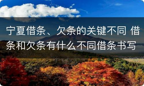 宁夏借条、欠条的关键不同 借条和欠条有什么不同借条书写