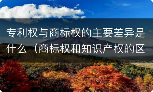 专利权与商标权的主要差异是什么（商标权和知识产权的区别）