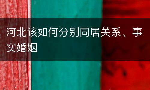 河北该如何分别同居关系、事实婚姻