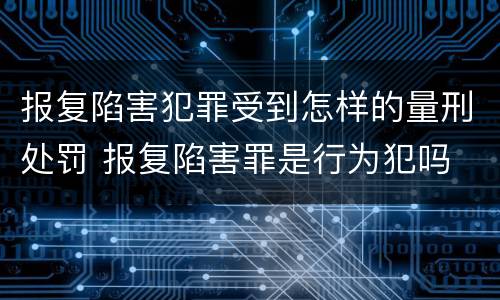 报复陷害犯罪受到怎样的量刑处罚 报复陷害罪是行为犯吗