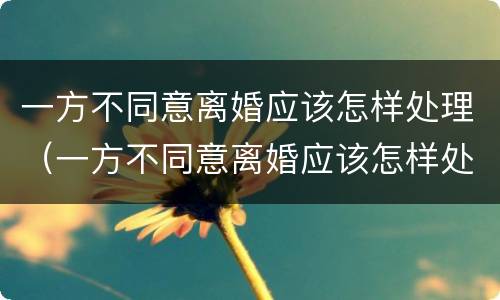 一方不同意离婚应该怎样处理（一方不同意离婚应该怎样处理呢）