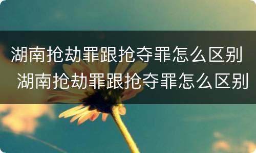 湖南抢劫罪跟抢夺罪怎么区别 湖南抢劫罪跟抢夺罪怎么区别的