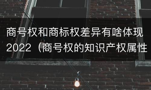 商号权和商标权差异有啥体现2022（商号权的知识产权属性）