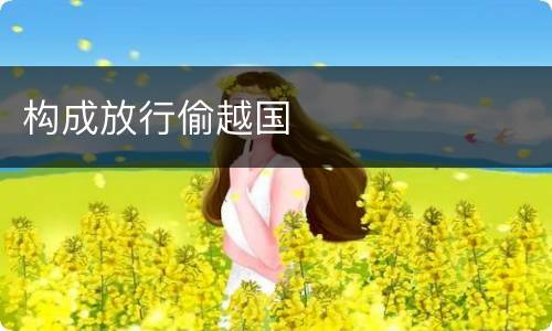 构成放行偷越国