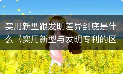 实用新型跟发明差异到底是什么（实用新型与发明专利的区别有哪些）