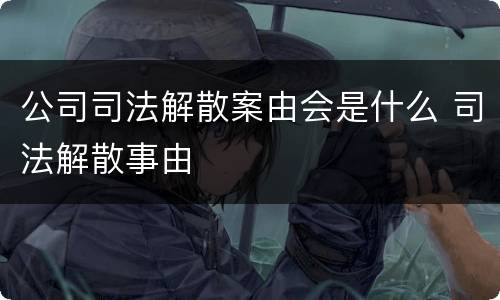 公司司法解散案由会是什么 司法解散事由