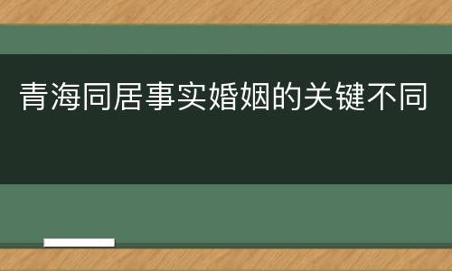 青海同居事实婚姻的关键不同