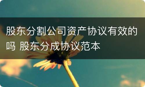 股东分割公司资产协议有效的吗 股东分成协议范本