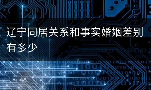 辽宁同居关系和事实婚姻差别有多少