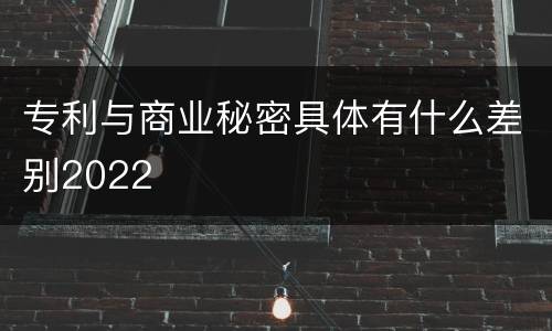 专利与商业秘密具体有什么差别2022