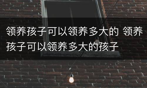 领养孩子可以领养多大的 领养孩子可以领养多大的孩子