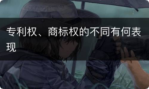 专利权、商标权的不同有何表现