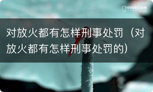 对放火都有怎样刑事处罚（对放火都有怎样刑事处罚的）