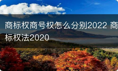 商标权商号权怎么分别2022 商标权法2020
