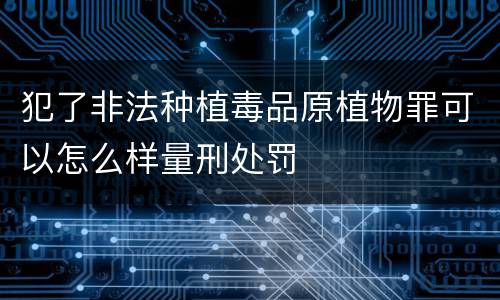 犯了非法种植毒品原植物罪可以怎么样量刑处罚