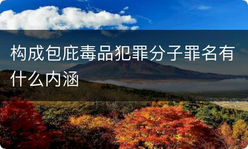 构成包庇毒品犯罪分子罪名有什么内涵