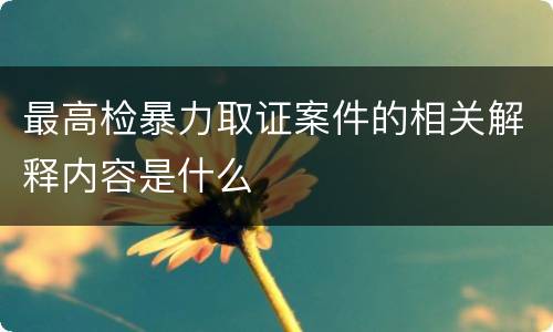 最高检暴力取证案件的相关解释内容是什么