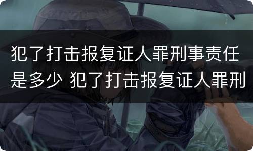 犯了打击报复证人罪刑事责任是多少 犯了打击报复证人罪刑事责任是多少
