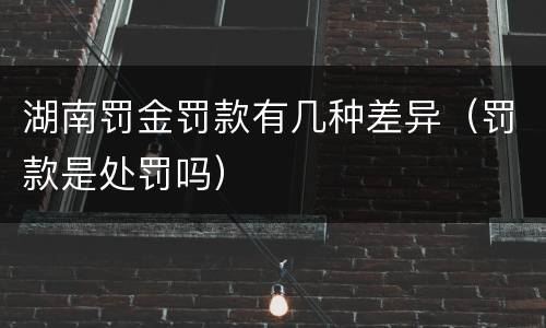 湖南罚金罚款有几种差异（罚款是处罚吗）