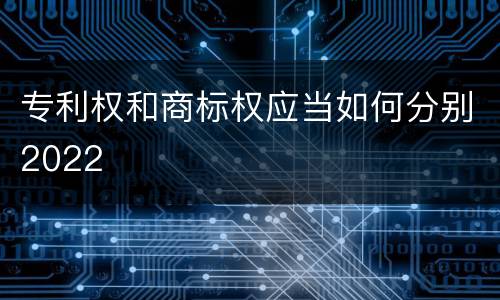 专利权和商标权应当如何分别2022