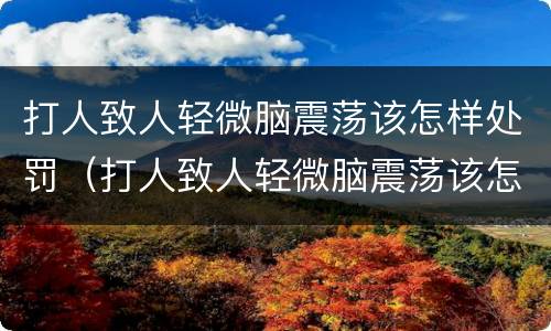 打人致人轻微脑震荡该怎样处罚（打人致人轻微脑震荡该怎样处罚他）