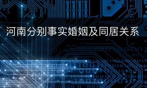 河南分别事实婚姻及同居关系
