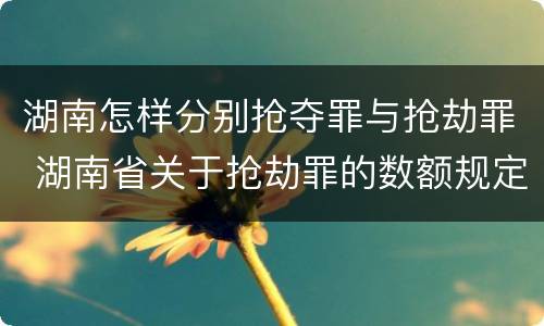 湖南怎样分别抢夺罪与抢劫罪 湖南省关于抢劫罪的数额规定