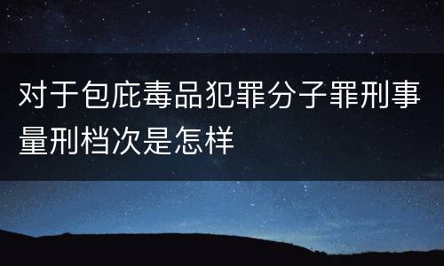 对于包庇毒品犯罪分子罪刑事量刑档次是怎样