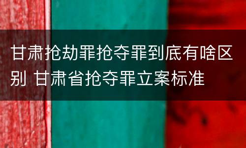 甘肃抢劫罪抢夺罪到底有啥区别 甘肃省抢夺罪立案标准