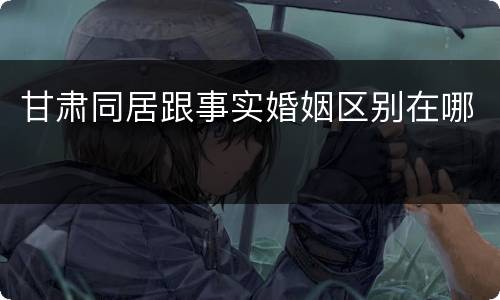 甘肃同居跟事实婚姻区别在哪