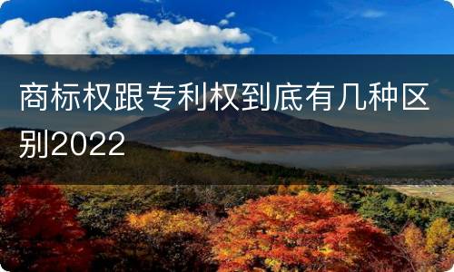 商标权跟专利权到底有几种区别2022