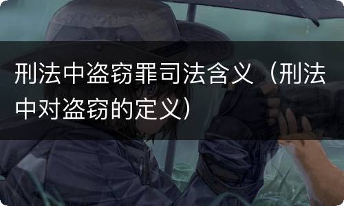刑法中盗窃罪司法含义（刑法中对盗窃的定义）