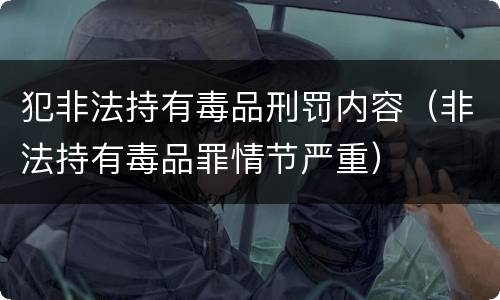 犯非法持有毒品刑罚内容（非法持有毒品罪情节严重）