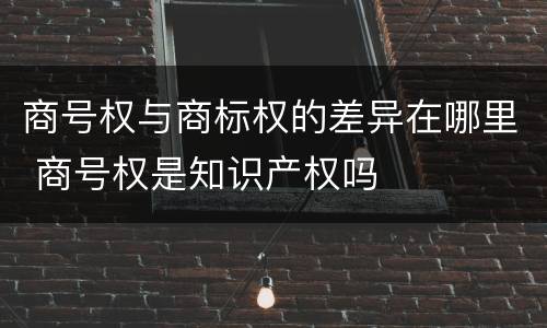 商号权与商标权的差异在哪里 商号权是知识产权吗
