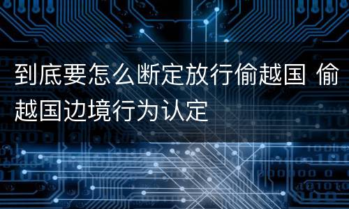 到底要怎么断定放行偷越国 偷越国边境行为认定