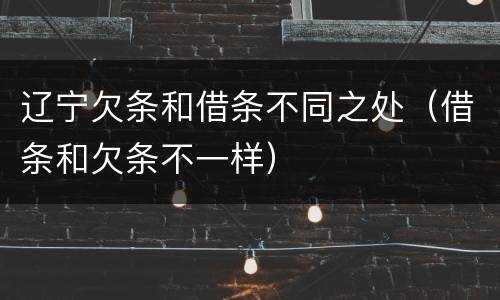 辽宁欠条和借条不同之处（借条和欠条不一样）