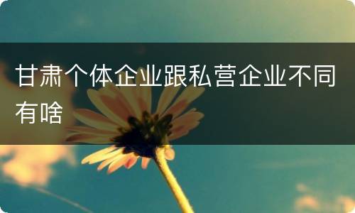 甘肃个体企业跟私营企业不同有啥