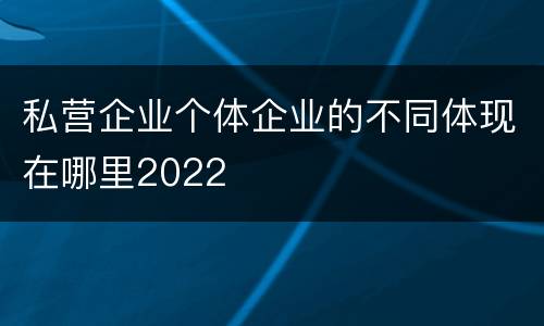 私营企业个体企业的不同体现在哪里2022
