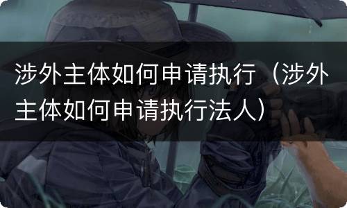 涉外主体如何申请执行（涉外主体如何申请执行法人）