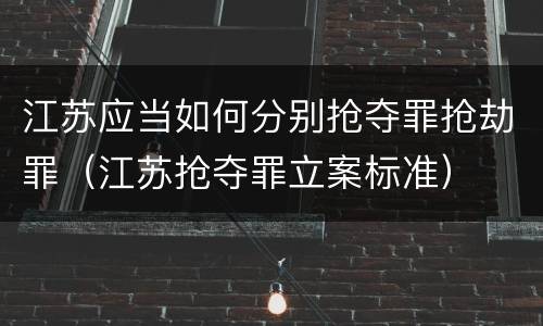 江苏应当如何分别抢夺罪抢劫罪（江苏抢夺罪立案标准）