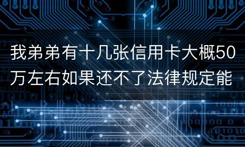我弟弟有十几张信用卡大概50万左右如果还不了法律规定能判多少年